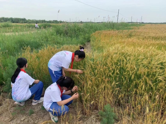 改革创新思政课  培根铸魂育新人 第 3 张